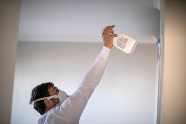 Professional Mold Remediation in Ada, MN